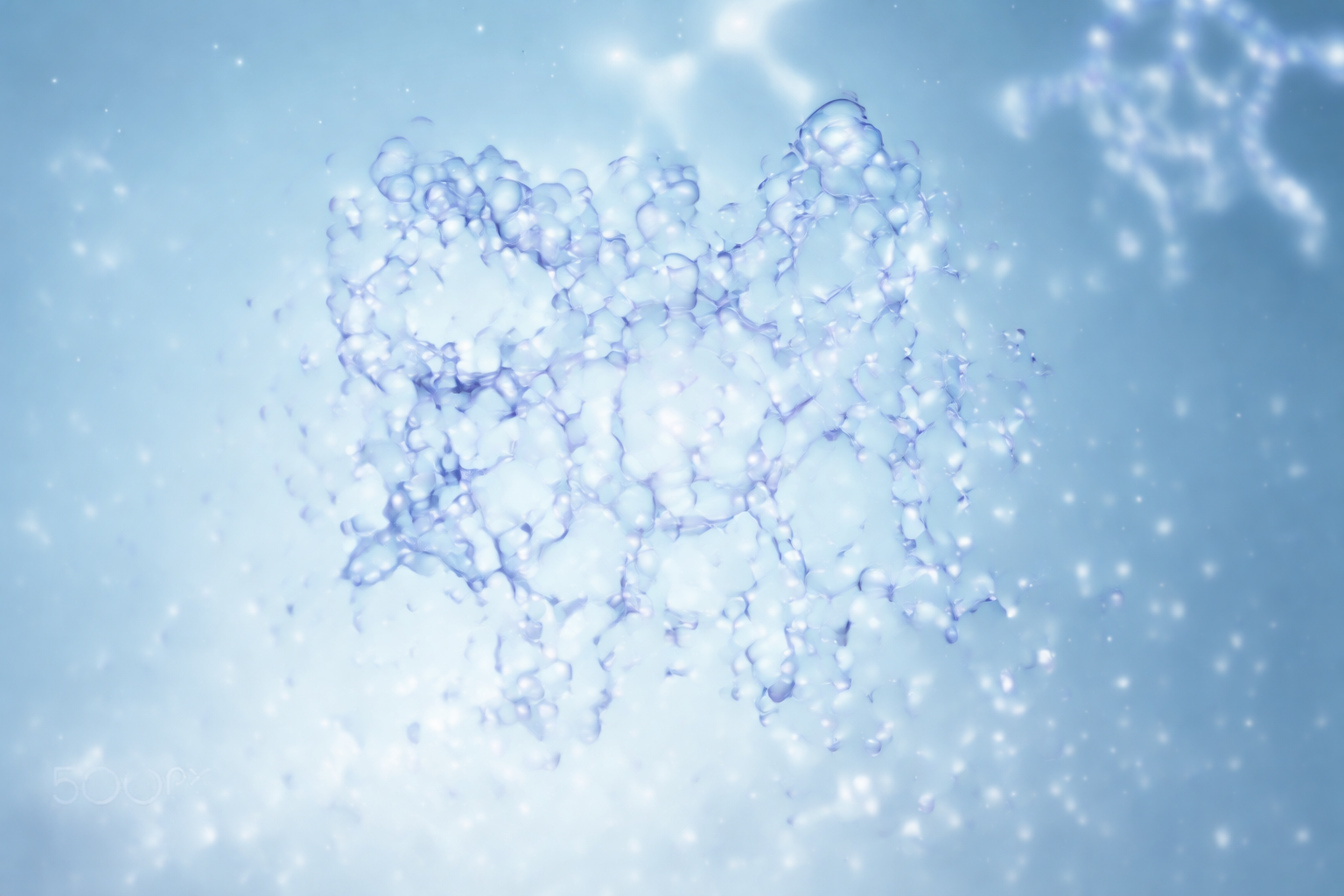 Best Anti-Inflammatory Peptides: A Research-Based Guide (2026)