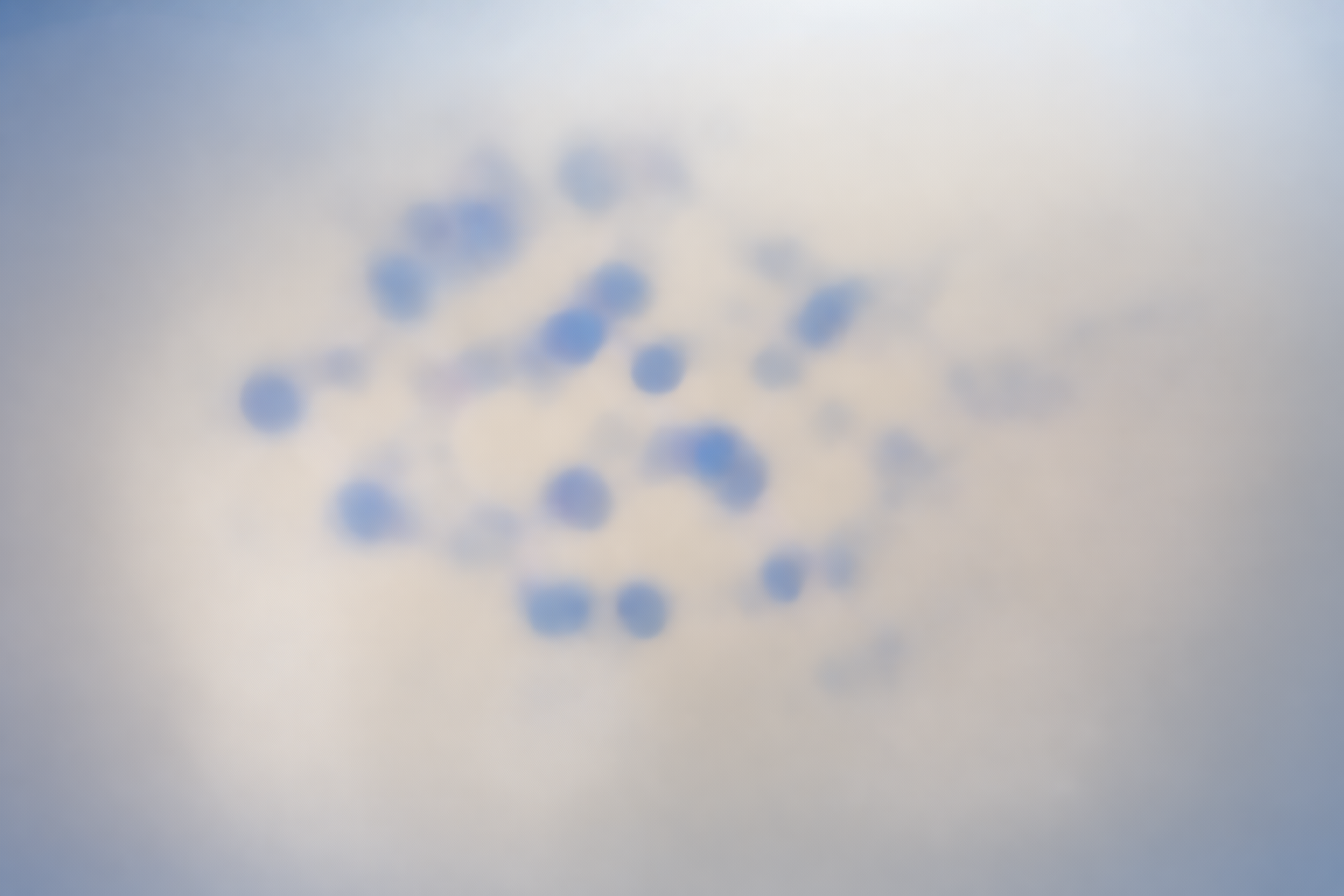 How to Read a Peptide COA (Certificate of Analysis): Complete Guide