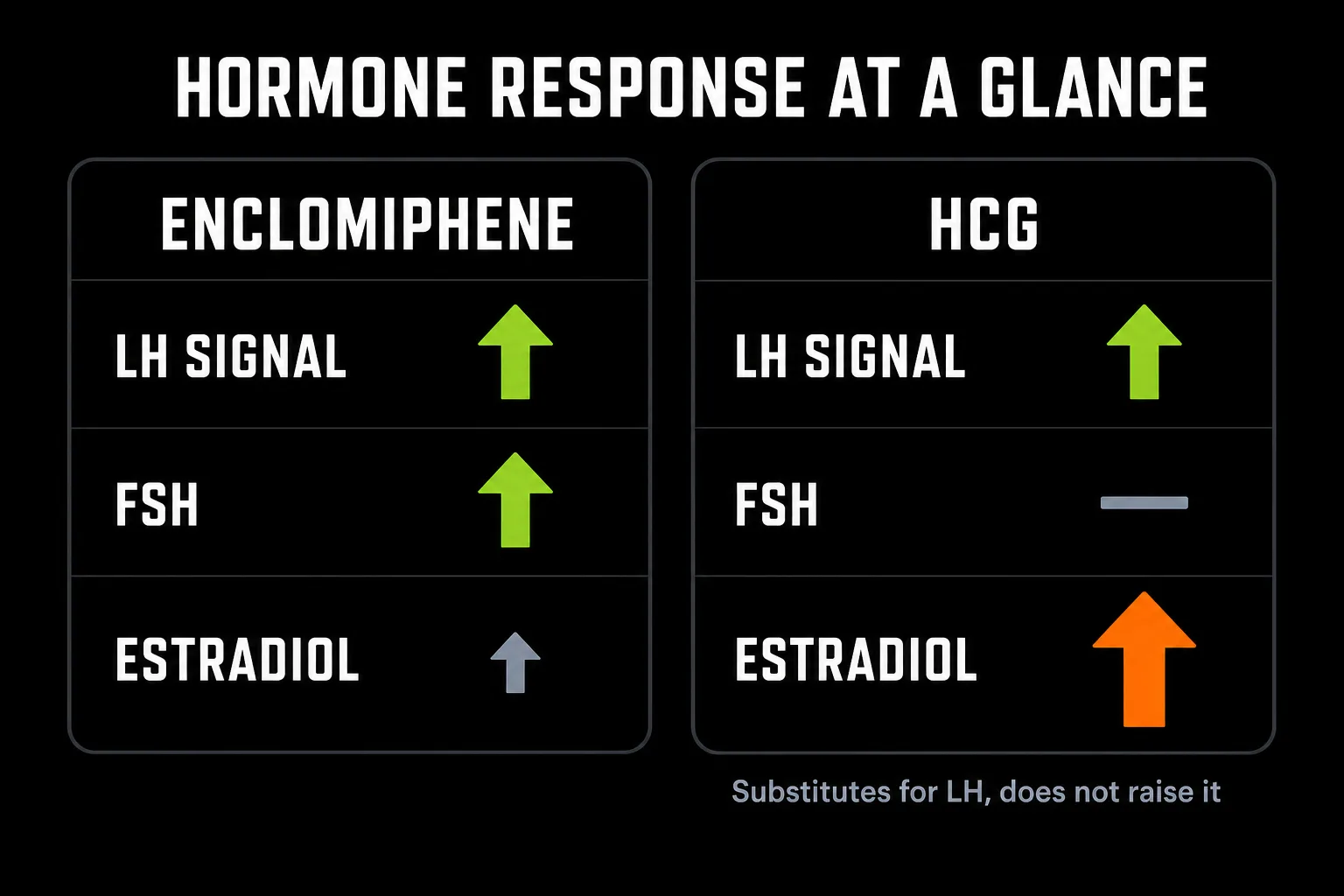 Comparison panel showing LH, FSH and estradiol response for enclomiphene versus HCG, with enclomiphene raising both gonadotropins and HCG raising neither while driving a large estradiol increase