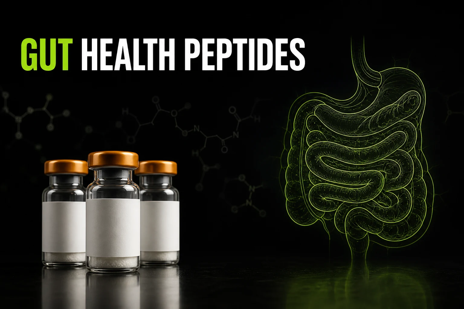 Gut Health Peptides: Which Ones Actually Have Human Evidence (2026)