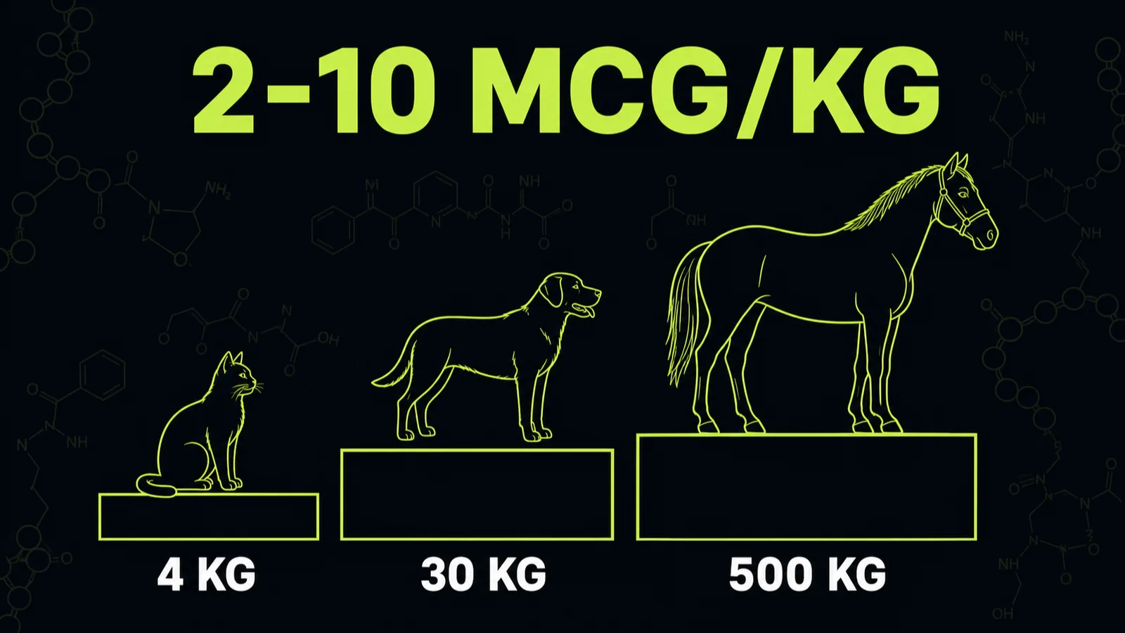 Weight-based peptide dosing chart for animals showing micrograms per kilogram tiers from cats through horses
