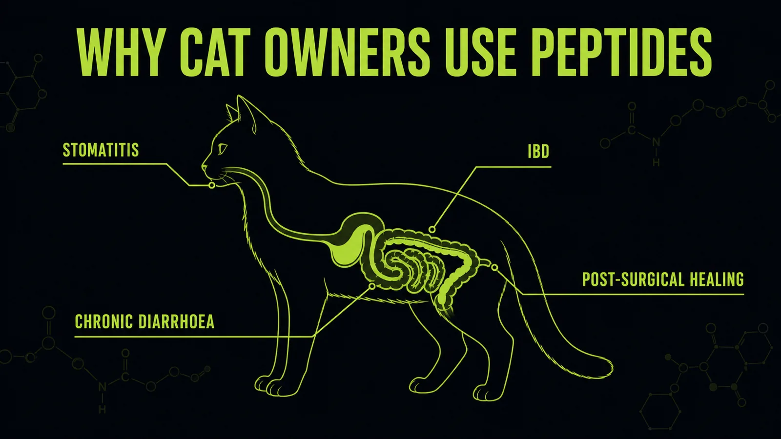 Chart of feline conditions treated with peptides including IBD, chronic diarrhoea, stomatitis and post-surgical healing