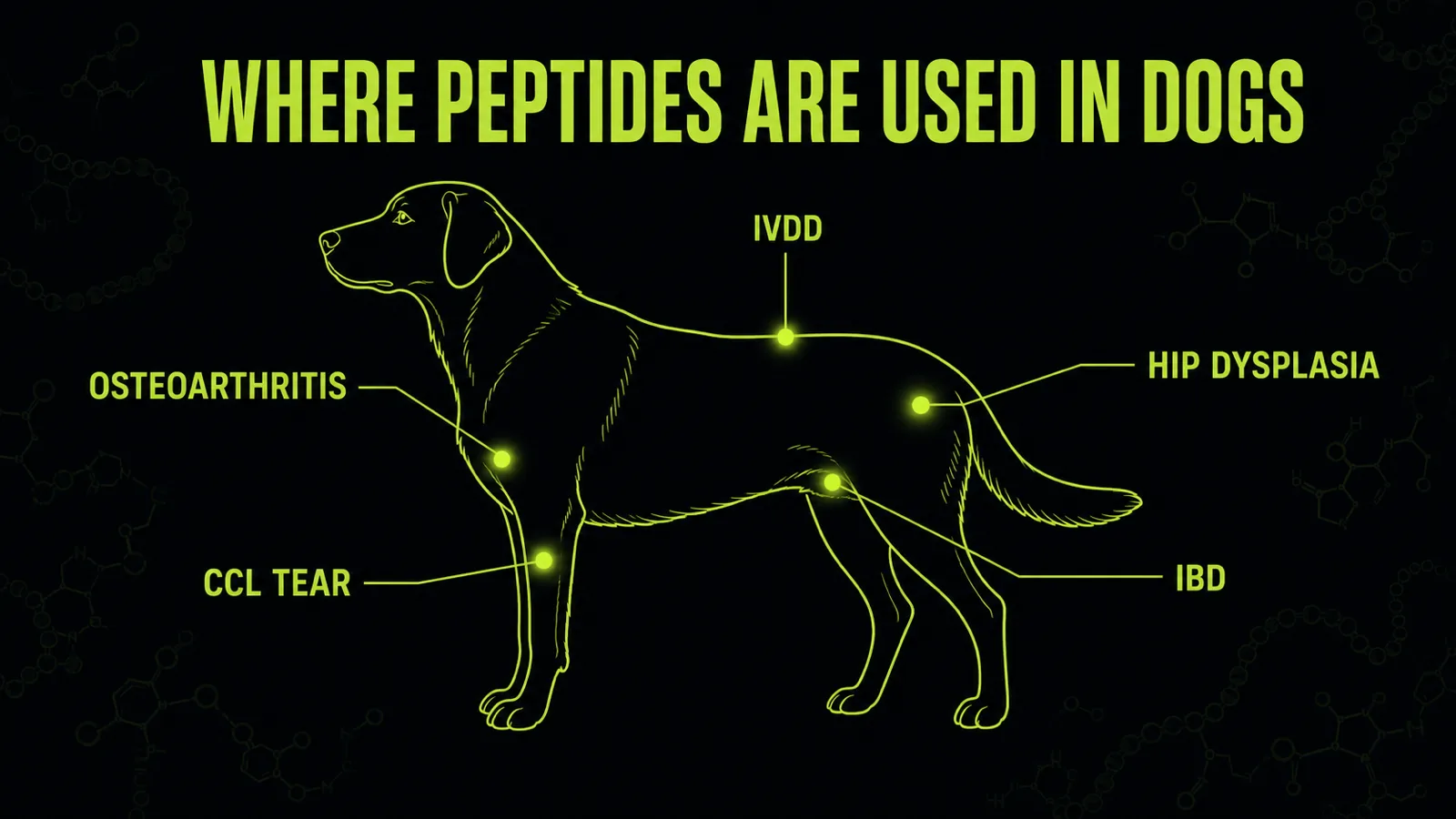 Chart of conditions in dogs treated with peptides including osteoarthritis, CCL tears, hip dysplasia, IVDD and IBD