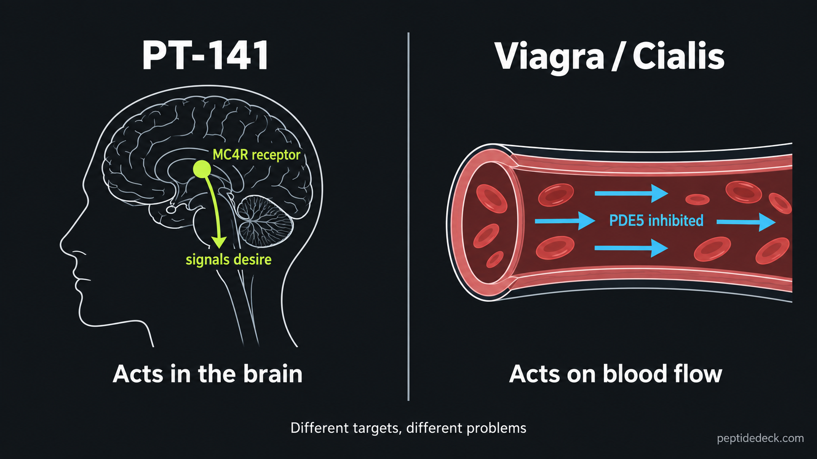 Diagram comparing PT-141 acting on the MC4R receptor in the brain to signal desire against Viagra and Cialis inhibiting PDE5 to increase blood flow